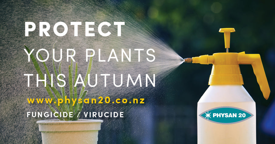 Protect your Outdoor Plants this Autumn!
