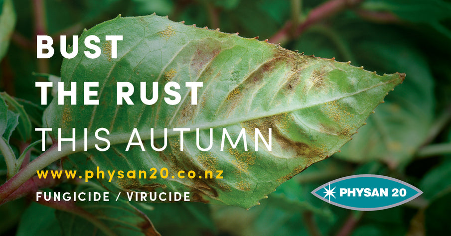 Bust through Rust this Autumn!