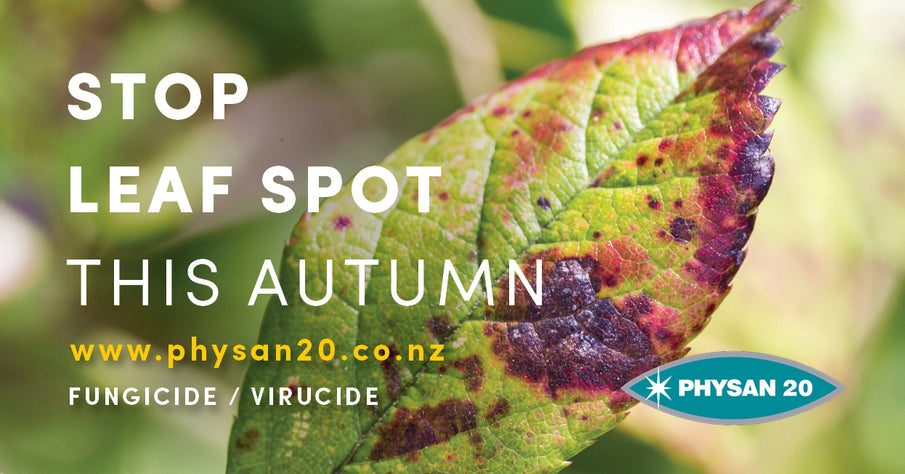 Prevent Leaf Spot this Autumn!
