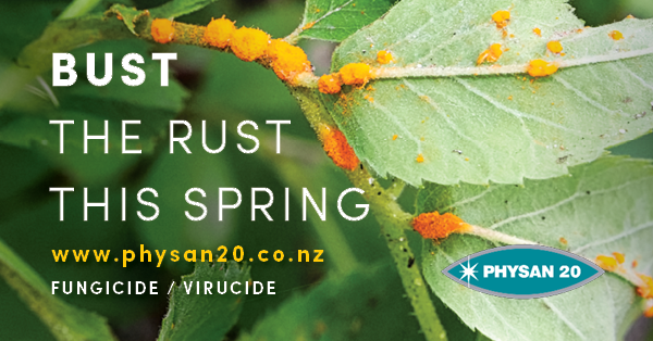 Bust Rust this Spring!