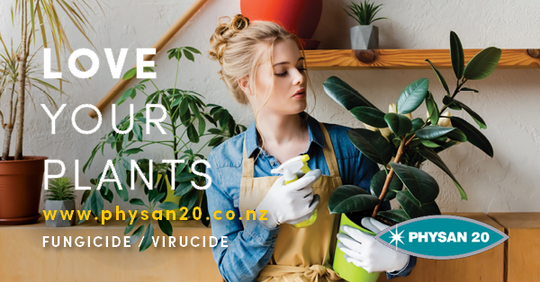 Protect your indoor plants this Winter!