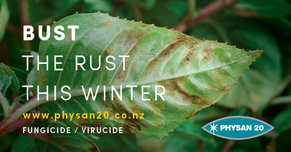 Bust through Rust this Winter!