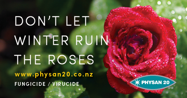 Don't let Winter ruin the Roses