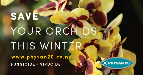 Save your Orchids this Winter