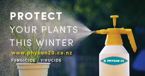 Protect your outdoor plants this Winter!